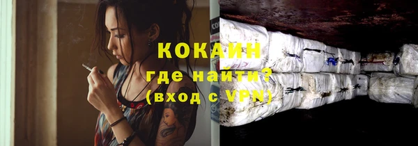 бошки Алексин
