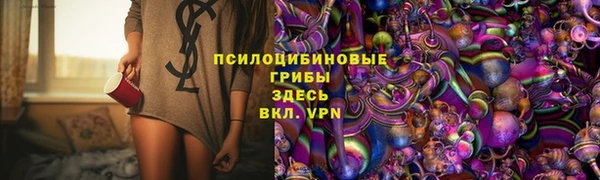 СК Абдулино