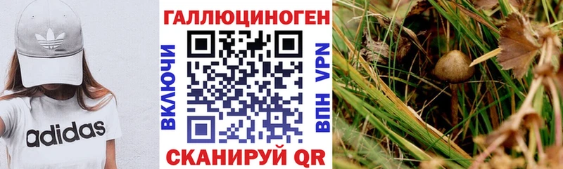 Галлюциногенные грибы ЛСД  площадка состав  Невинномысск 